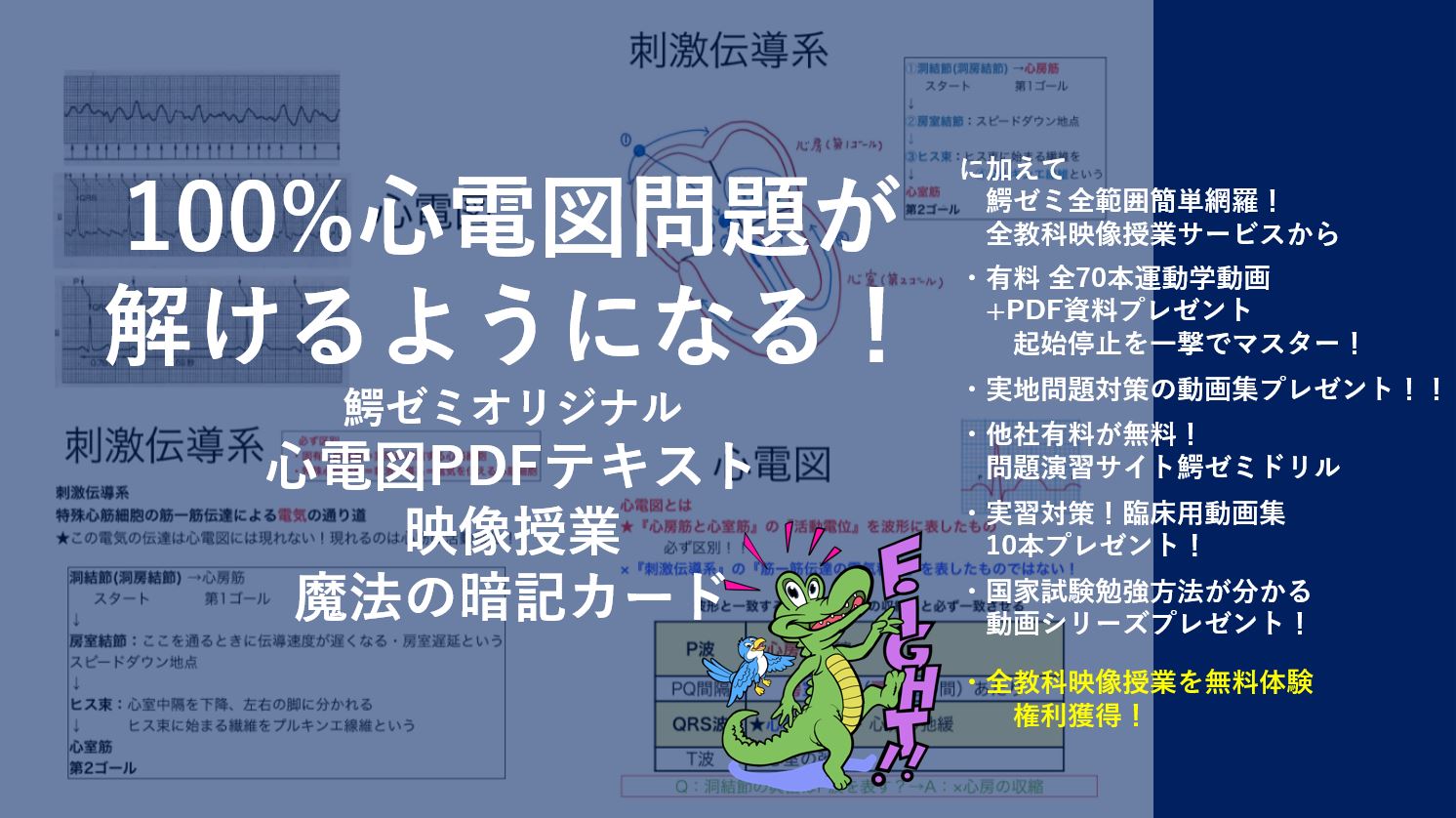 【国試を制する！超豪華7大教材ページ！】必ず全てのコンテンツを 