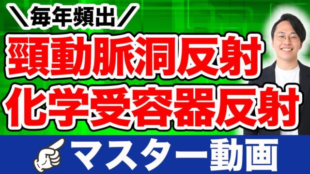 PT・OT（理学療法士・作業療法士）国家試験　頸動脈洞反射・化学受容器反射をマスター動画