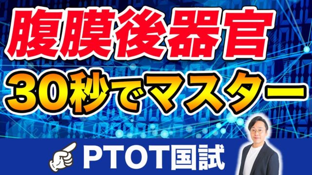 PT・OT（理学療法士・作業療法士）国家試験　腹膜後器官 30秒でマスター！