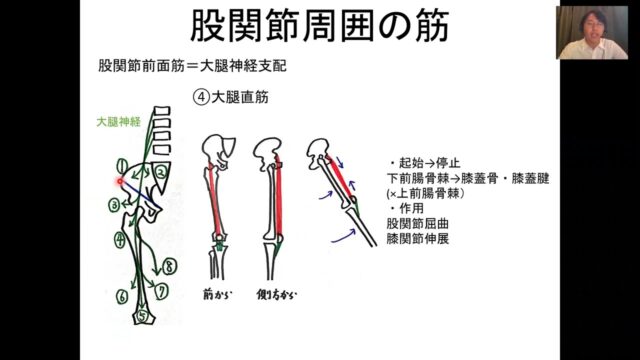 PT・OT（理学療法士・作業療法士）国家試験　【苦手克服！】運動学・筋の起始停止の覚え方勉強方法