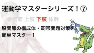 PT・OT（理学療法士・作業療法士）国家試験　股関節の構成体・靭帯問題対策　簡単マスター