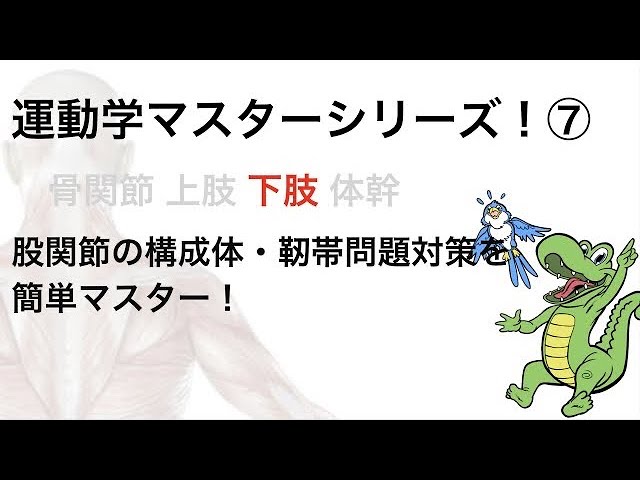 PT・OT（理学療法士・作業療法士）国家試験　股関節の構成体・靭帯問題対策　簡単マスター